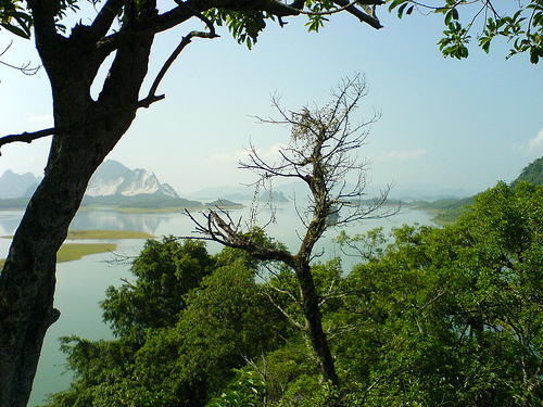 Photos Thac Ba Lake 2