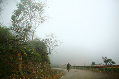 Photos Giang Stream 1