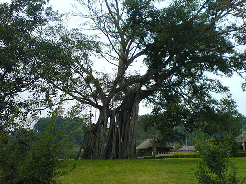 Photos Tuyen Quang 3