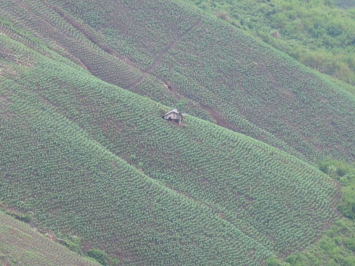 Photos Khe Ro Primitive Forest 2