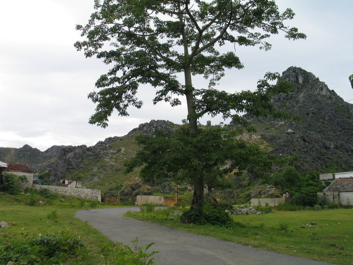 Photos Khe Ro Primitive Forest 1