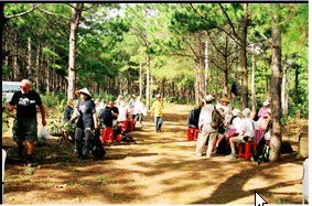 Photos Dak Po Pine Hill 1