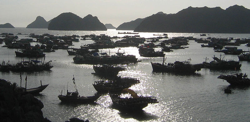 Photos Cat Ba Island 2