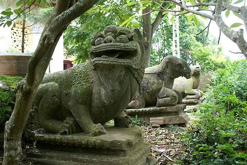 Photos Phat Tich Pagoda 2