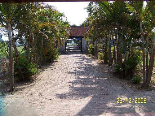 Photos But Thap Pagoda 2