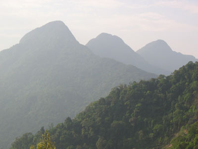 Photos Tam Dao Resort 1