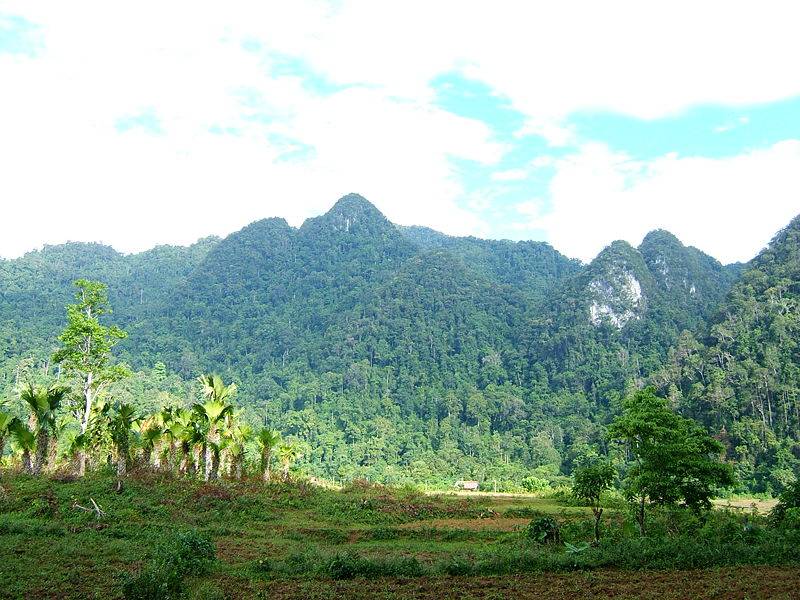 Photos Phu Tho 1