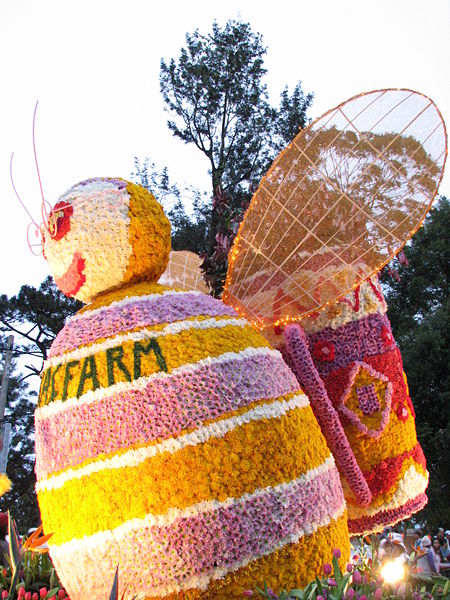 Photos Da Lat 2