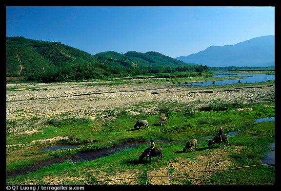 Photos Da Nang 1 - Da Nang