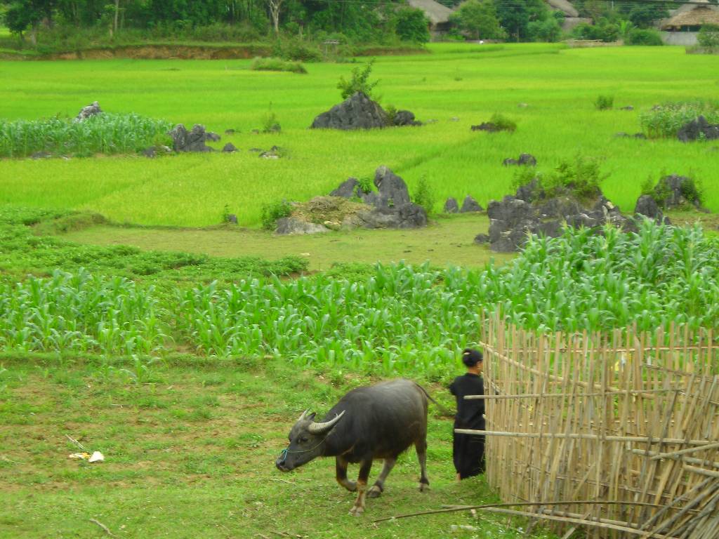 Photos Ha Giang 4 - Ha Giang