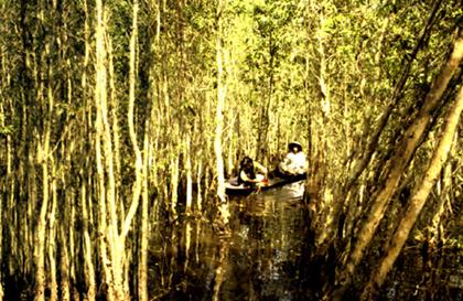 Photos U Minh Thuong Forest 1 - U Minh Thuong Forest