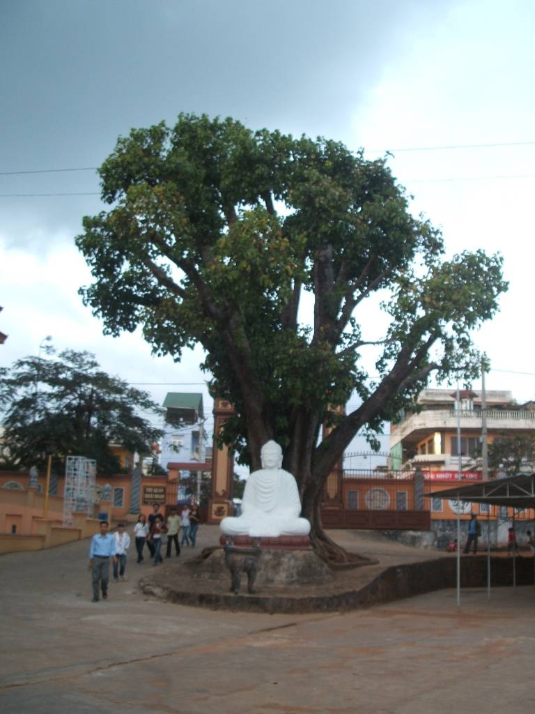 Photos Dak Lak 6
