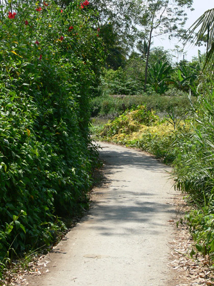 Photos Vinh Long 5