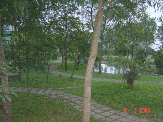 Photos Thanh Tan Mineral Hot Spring 4