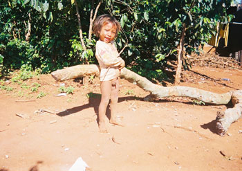 Photos Dinh Van - Lam Ha Town 2