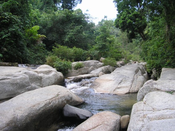 Photos Fairy Stream 2