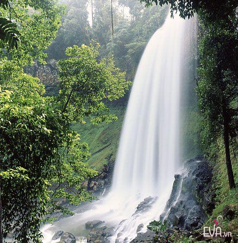 Photos Dambri Waterfall 2