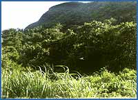 Photos Binh Chau-Phuoc Buu Nature Reserve 1