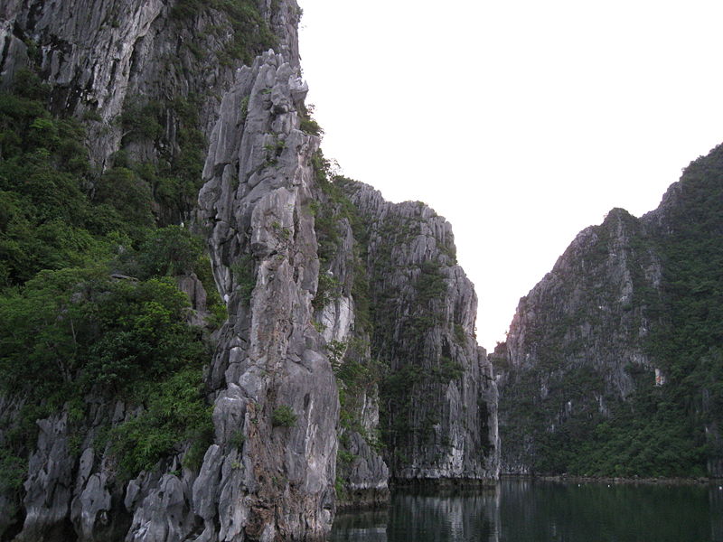 Photos Bai Tu Long 3