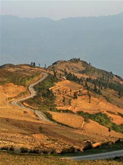 Photos Xin Man 2 - Xin Man