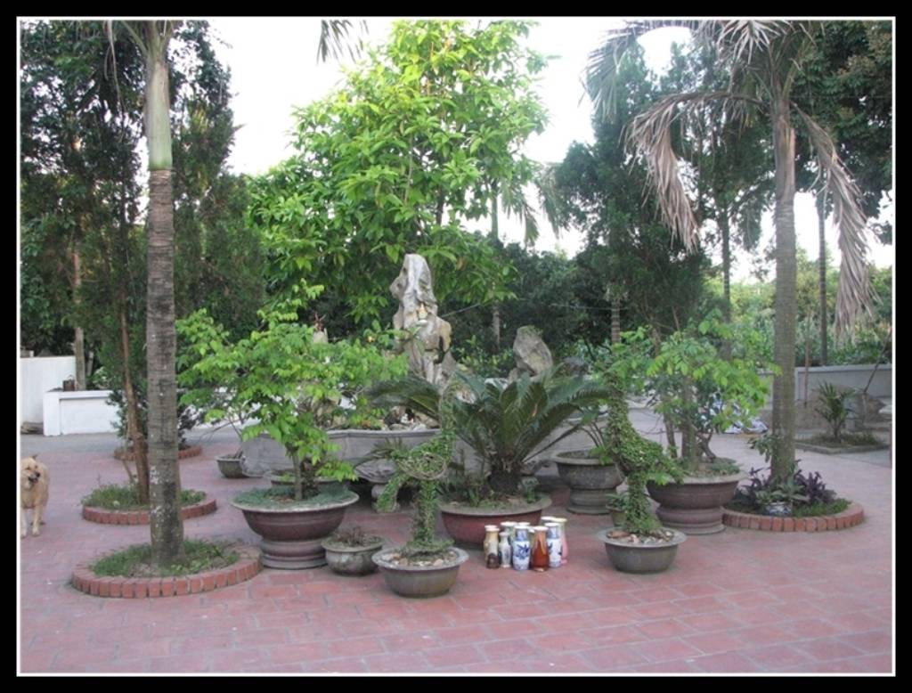Photos Long Khanh Pagoda 1
