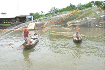 Photos Miet Vuon Cai Be 1