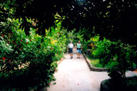 Photos Can Tho Gardens 1