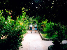 Photos Can Tho Gardens 3