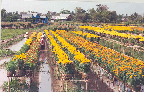 Photos SaDec Flower Gardens 3