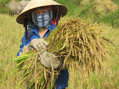 Photos Ha Tinh 3 - Ha Tinh