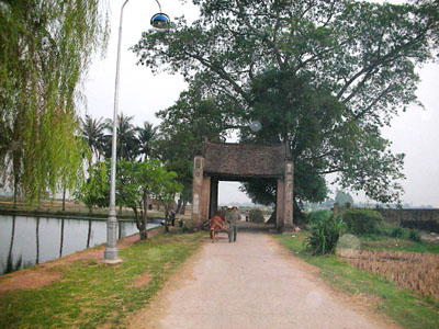 Photos Tuy Loan Ancient Village 2