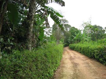 Photos Phuoc Tich Ancient Village 1 - Phuoc Tich Ancient Village