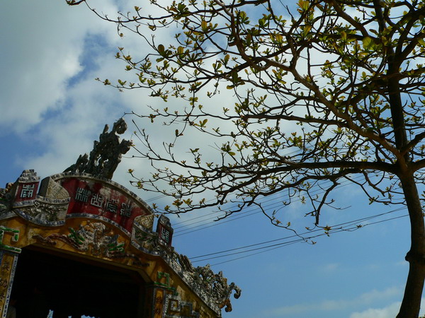 Photos ngoi Thanh Toan Bridge 2