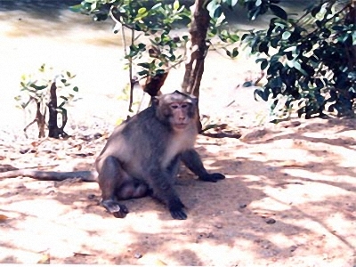 Photos Ba Ho Ecological Tourism Site 2