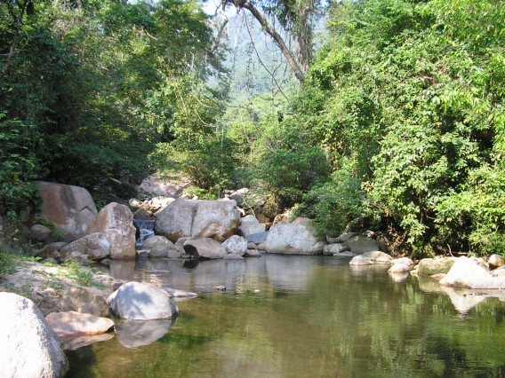 Photos Fairy Stream 1