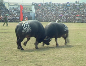 Photos Hai Phong 3