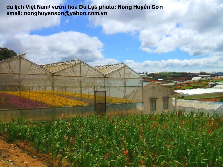 Photos Da Lat 8