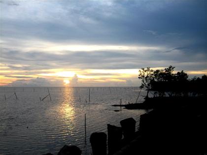 Photos Ca Mau 2