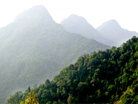 Photo of Entry:  Tam Dao forest to become entertainment site