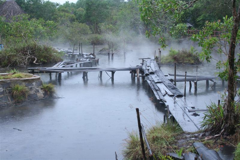 Photo of Entry:  Relax at the ‘hot swamp’