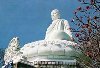 Photos Linh Son Pagoda 2 - Linh Son Pagoda